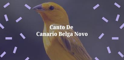 Canto De Canario Belga Novo captura de pantalla 3