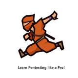 Learn Pentesting like a Pro!