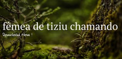 fêmea de tiziu chamando ポスター