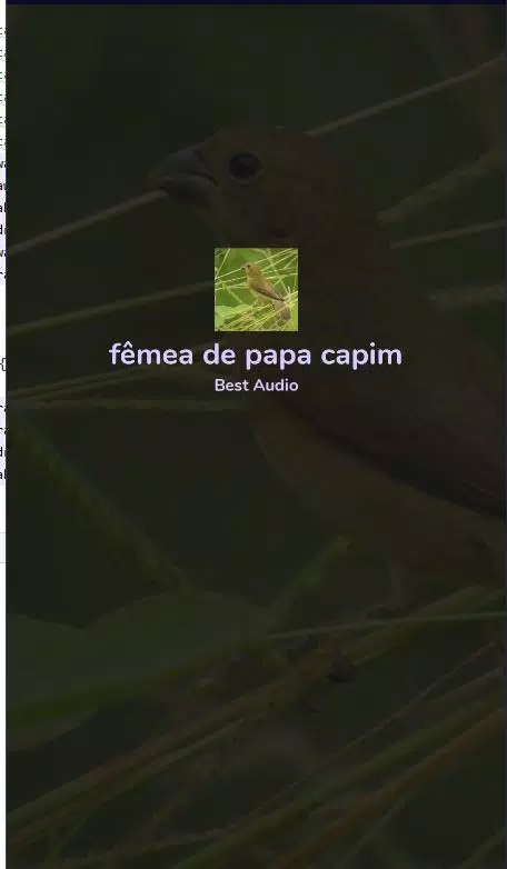 Fêmea de Papa Capim Chamando APK for Android Download