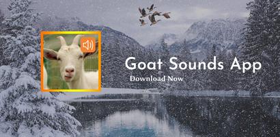Goat Sounds App Affiche