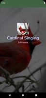 Cardinal Singing & Call Sounds captura de pantalla 3