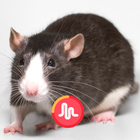 Mouse and Rat Sounds + Timmer icon