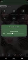 Mouse and Rat Sounds + Timmer screenshot 3