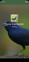 Tiziu Cantando Muito ภาพหน้าจอ 2