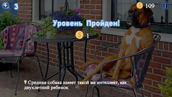 Point Words постер