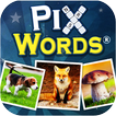 ”PixWords ™