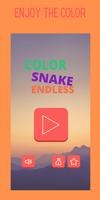 Color Snake Endless Affiche