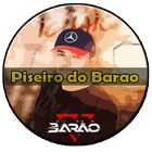 Piseiro Do Barão All Musica أيقونة