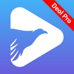 Doel VPN Pro