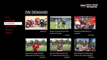 Delmarva Sports Network DSN Affiche