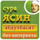 сура ясин без интернета - абдулбасит мп3 아이콘