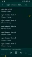 сура Бакара без интернета Мишари Рашид imagem de tela 1
