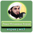 Раад Мухаммад Аль-Курди | Красивое чтение Корана icono