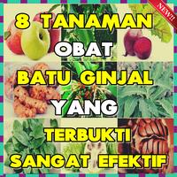 8 Tanaman Obat Batu Ginjal yang Sangat Efektif poster