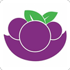 Pede Açaí APK