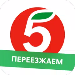 Пятёрочка Доставка APK download