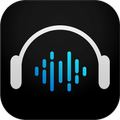 Dell Audio