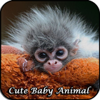 Sevimli bebek hayvanlar simgesi