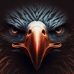 Eagle Bird Wallpaper 圖標