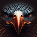 Eagle Bird Wallpaper
