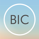 DELTA BIC Zone APK