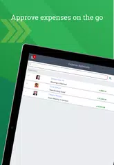 Descargar XAPK de Deltek T&E for Vantagepoint