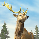 Archery Hunting-APK