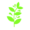 MODUGREENS 图标