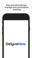 DelyvaNow Cartaz
