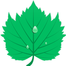 APK Greenify Pro