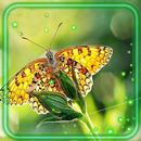 Butterflies and Flowers APK