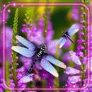 Dragonfly Live Wallpaper APK