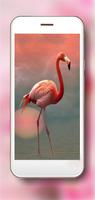 Flamingo HD 截图 2