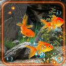 Gold Fishes HD Live Wallpaper APK