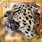 Voz de los Jaguares icono