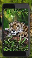 Voz de los Jaguares captura de pantalla 3
