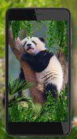 Jungles Animals 截图 1
