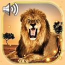 Lion Live Wallpaper APK