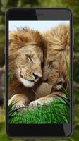 Lions Voice 截图 3