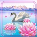 Lotus and Swan Live Wallpaper APK