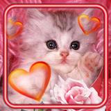 Love Kittens ikon