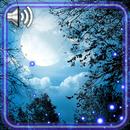 Night Moon Live Wallpaper APK