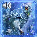 Owls Winter Live Wallpaper APK