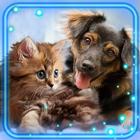 Puppies and Kittens HD icône