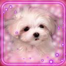 Puppies Live Wallpaper APK