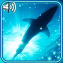 Shark Sea Live Wallpaper APK