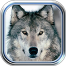 Wolves Valley APK