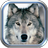 APK Wolves Valley