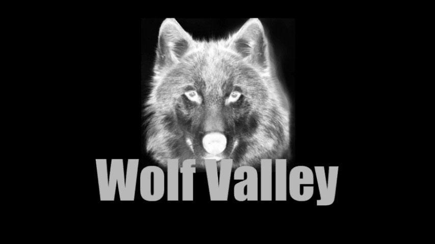 Волк звонит. Wolf Valley логотип. Valley of Wolves. Заставка на рабочий стол волк. Волчья дикость